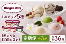＜全3回定期便・連続＞ハーゲンダッツ『定番ミニカップフレーバー5種セット(合計36個)』アイスクリーム アイス スイーツ デザート_H0026-014