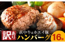 【訳あり】浜中牛＆ホエイ豚ハンバーグ(16個)_H0019-001