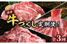 ＜全3回・連続＞浜中牛づくし定期便_H0019-006