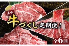 ＜全6回・連続＞浜中牛づくし定期便_H0019-007