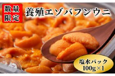 【数量限定】浜中産　養殖エゾバフンウニ(塩水パック)100g_H0009-003