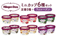 【1か月以内に発送】ハーゲンダッツ『ミニカップ12個セット（定番フレーバー＆ラムレーズン味）』アイスクリーム アイス スイーツ デザート_H0016-003