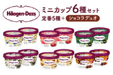 【1か月以内に発送】ハーゲンダッツ『ミニカップ12個セット（定番フレーバー＆ショコラデュオ味）』アイスクリーム アイス スイーツ デザート_H0016-004