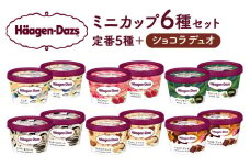 【1か月以内に発送】ハーゲンダッツ『ミニカップ12個セット（定番フレーバー＆ショコラデュオ味）』アイスクリーム アイス スイーツ デザート_H0016-004