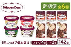 ＜全6回定期便・連続＞ハーゲンダッツ『ミニカップ＆バーセット(合計42個)』アイスクリーム アイス スイーツ デザート_H0026-031