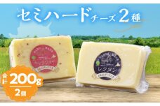 【おおともチーズ工房】セミハードチーズ2種セット(キャラウェイ・レクタン)_H0003-014