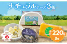 【おおともチーズ工房】《ワインとの相性抜群!!》濃厚ナチュラルチーズ3種セット_H0003-016