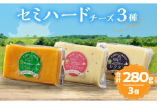 【おおともチーズ工房】《熟成の旨味を堪能!!》熟成セミハードチーズ3種セット_H0003-017