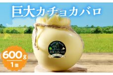 【おおともチーズ工房】《なまらでかい!!》ミルキーな風味の巨大カチョカバロ(計600g)_H0003-028