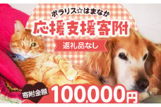 【動物愛護ボランティア】浜中町「ポラリス☆はまなか」を支援　100000円分 返礼品なし_H0048-009