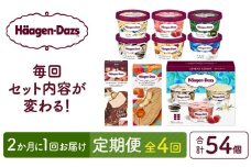 ＜全4回・隔月＞お試し定期便！ハーゲンダッツ人気 セット アイス スイーツ デザート_H0026-011
