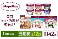 ＜全12回・連続＞1年定期便！ハーゲンダッツ人気 セット アイス スイーツ デザート_H0026-021