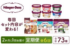 ＜全6回・隔月＞食べ比べ定期便！ハーゲンダッツ人気 セット アイス スイーツ デザート_H0026-022