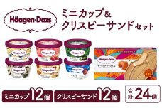 ハーゲンダッツ『ミニカップ(12個)＆クリスピーサンド(12個)セット』アイスクリーム アイス スイーツ デザート_H0016-038