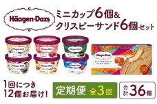＜全3回定期便・連続＞ハーゲンダッツ『ミニカップ＆クリスピーサンド ザ・リッチキャラメル(合計36個)』アイスクリーム アイス スイーツ デザート_H0026-041