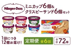 ＜全6回定期便・連続＞ハーゲンダッツ『ミニカップ＆クリスピーサンドセット(合計72個)』アイスクリーム アイス スイーツ デザート_H0026-042