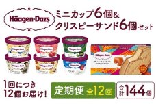 ＜全12回定期便・連続＞ハーゲンダッツ『ミニカップ＆クリスピーサンドセット(合計144個)』アイスクリーム アイス スイーツ デザート_H0026-043