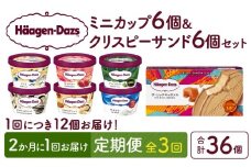 ＜全3回定期便・隔月＞ハーゲンダッツ『ミニカップ＆クリスピーサンドセット(合計36個)』アイスクリーム アイス スイーツ デザート_H0026-048