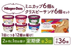 ＜全3回定期便・隔月＞ハーゲンダッツ『ミニカップ＆クリスピーサンド ザ・リッチキャラメルセット(合計36個)』アイスクリーム アイス スイーツ デザート_H0026-048