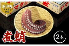 【数量限定】煮たこ足(約1.1kg×2本)_220303