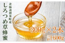 ＜北海道標茶産＞しろつめ草の蜂蜜　300g×2本　計600g【 はちみつ しろつめ草 蜂蜜 天然 甘味料 国産 標茶町 北海道 】