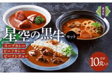 「星空の黒牛」カレー・シチュー・スープカレーセットD 10食【 ビーフシチュー カレー スープカレー 加工品 肉加工品 おうちごはん 簡単調理 レトルト セット グルメ ギフト お取り寄せ 標茶町 北海道 】