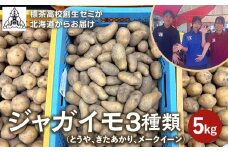 ＜標茶高校創生ゼミが北海道からお届け＞ジャガイモ3種類　計5kg（とうや、きたあかり、メークイーン）【 野菜 じゃがいも とうや きたあかり メークイン 標茶高校創生ゼミ 標茶町 北海道 】