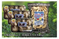 143.摩周産　菌床生しいたけ・乾燥しいたけセット（生200ｇ×3パック、乾燥40ｇ×１袋）