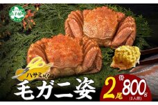 3357. カニ 蟹 毛蟹 2尾 計800g前後 食べ方ガイド・専用ハサミ付 カニ かに 蟹 海鮮 ボイル 送料無料 北海道 弟子屈町
