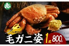3302. ボイル毛蟹姿 800g 食べ方ガイド・専用ハサミ付 カニ かに 送料無料 北海道 弟子屈町