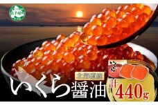 【年末配送可能 受付9月まで】3318. いくら醤油漬け 220g×2個 いくら醤油 イクラ しょうゆ漬け いくら イクラ 醤油 海鮮 魚介 いくら丼 鮭 魚卵 贈答 ギフト 送料無料 北海道 弟子屈町