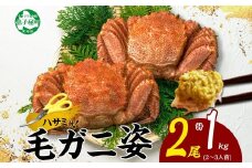 3319.毛蟹 2尾 計1kg前後 食べ方ガイド・専用ハサミ付 カニ かに 蟹 海鮮 ボイル 送料無料 北海道 弟子屈町