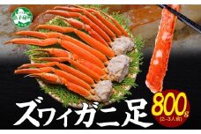 【年末配送可能】 3375.  ボイルズワイガニ足 800g 約2-3人前 食べ方ガイド・専用ハサミ付 カニ かに 蟹 送料無料 期間限定 数量限定 北海道 弟子屈町
