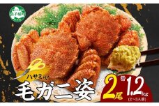 3335.毛蟹 2尾 計1.2kg前後 食べ方ガイド・専用ハサミ付 カニ かに 蟹 海鮮 ボイル 送料無料 北海道 弟子屈町