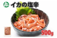3163. いかの塩辛 500g いか イカ 烏賊 塩辛 おつまみ 魚介 海鮮 送料無料 北海道 弟子屈町
