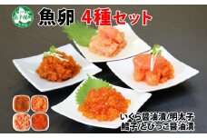 2957.  魚卵 食べ比べ 4種セット 計600g いくら醤油漬け イクラ いくら 明太子 めんたいこ 鱈子 タラコ とびっこ醤油漬け とびこ 海鮮 魚介 送料無料 17000円 北海道 弟子屈町