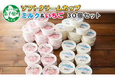 534.ソフトクリーム カップ アイス 食べ比べ 30個 ミルク みるく イチゴ いちご セット 手作り 北海道 弟子屈町