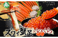 3416.  ズワイガニ足 800g いくら醤油漬け イクラ 80g×2個 専用ハサミ付 ずわいがに ズワイガニ ずわい ズワイ いくら カニ かに 蟹 送料無料 期間限定 数量限定 北海道 弟子屈町
