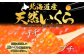 鮮度が命の“いくら醤油漬けです。