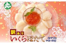 3353. 訳あり ホタテ 1kg 大容量 帆立 生ほたて 貝柱 ほたて いくら醤油漬け 200g×2個 イクラ しょうゆ漬け 魚卵 海鮮 送料無料 北海道 弟子屈町