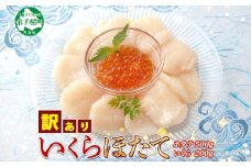 3329. 訳あり ホタテ 500g 帆立 ほたて 生ほたて 貝柱 いくら醤油漬け 200g セット 大容量 イクラ しょうゆ漬け 海鮮 送料無料  北海道 弟子屈町