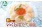 大容量のホタテといくら醤油漬けが一緒に楽しめるセット