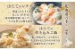 美味しいホタテをぜひご堪能下さい！