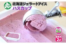 607.アイスクリーム ハスカップ ジェラート 業務用 2リットル 2L アイス 大容量  手作り 北海道 弟子屈町
