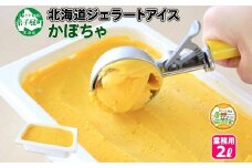 611.アイスクリーム かぼちゃ カボチャ ジェラート 業務用 2リットル 2L アイス 大容量  手作り 北海道 弟子屈町