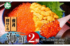 3402. 2種 海鮮丼 鱒 いくら醤油漬け 100g×5 約5-6人前 ウニ チリ産 雲丹 うに 100g×2 セット いくら イクラ いくら醤油 魚卵 ます マス 海鮮 送料無料 北海道 弟子屈町