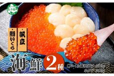 3340. 2種 海鮮丼 鱒 いくら醤油漬け100g前後×5 約5-6人前 ホタテ 帆立 ほたて 300g セット いくら イクラ いくら醤油 魚卵 ます マス 海鮮 送料無料 北海道 弟子屈町