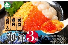 3350. 3種 海鮮丼 鱒 いくら醤油漬け 100g×5 5-6人前 ウニ チリ産 雲丹 うに 200g ホタテ 300g 帆立 いくら いくら醤油 イクラ 魚卵 海鮮 送料無料 北海道 弟子屈町