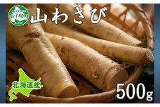 3166. 天然 山わさび 500g前後 産地直送 薬味 肉 BBQ バーベキュー 焼き肉 送料無料 北海道 弟子屈町