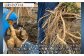 山わさびは大根に似た香りが特徴。そのため、「わさび大根」と呼ばれることもあります。